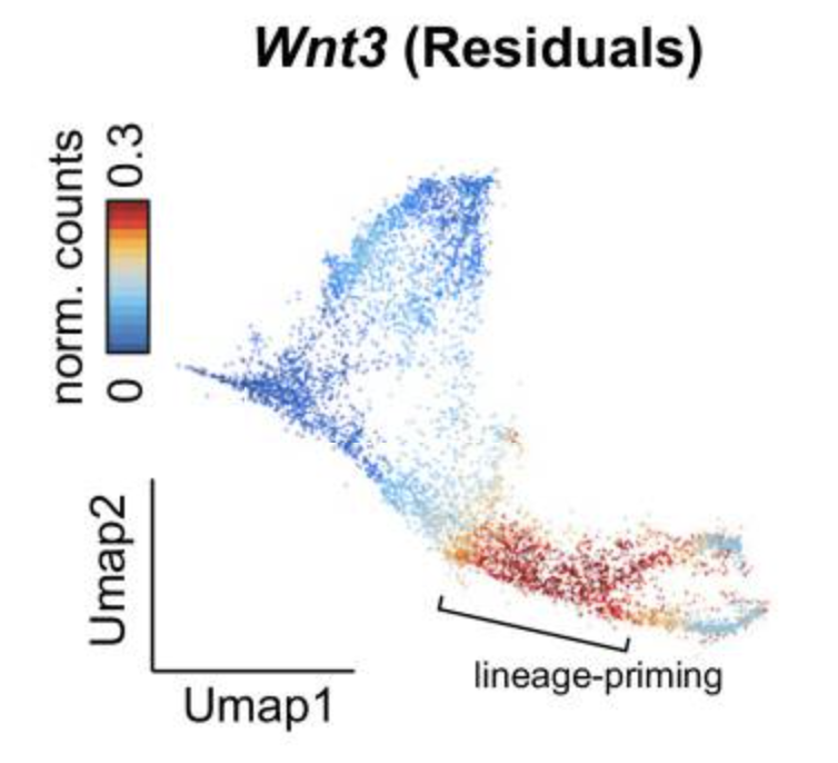 Chromatin Potential Identified by Shared Single-Cell Profiling of RNA and Chromatin