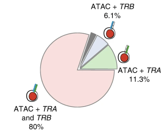 Transcript-indexed ATAC-seq for precision immune profiling