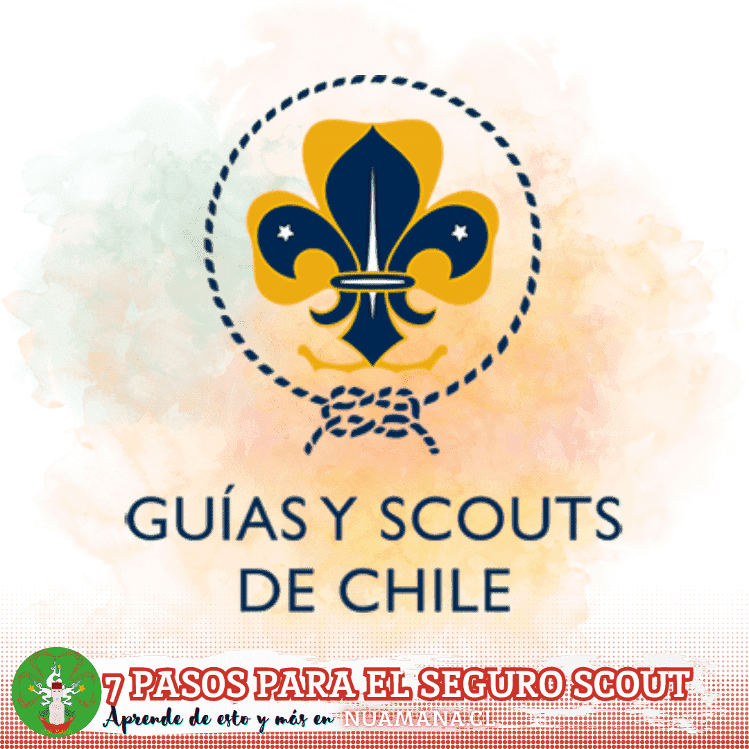 7 Pasos para el Seguro Scout