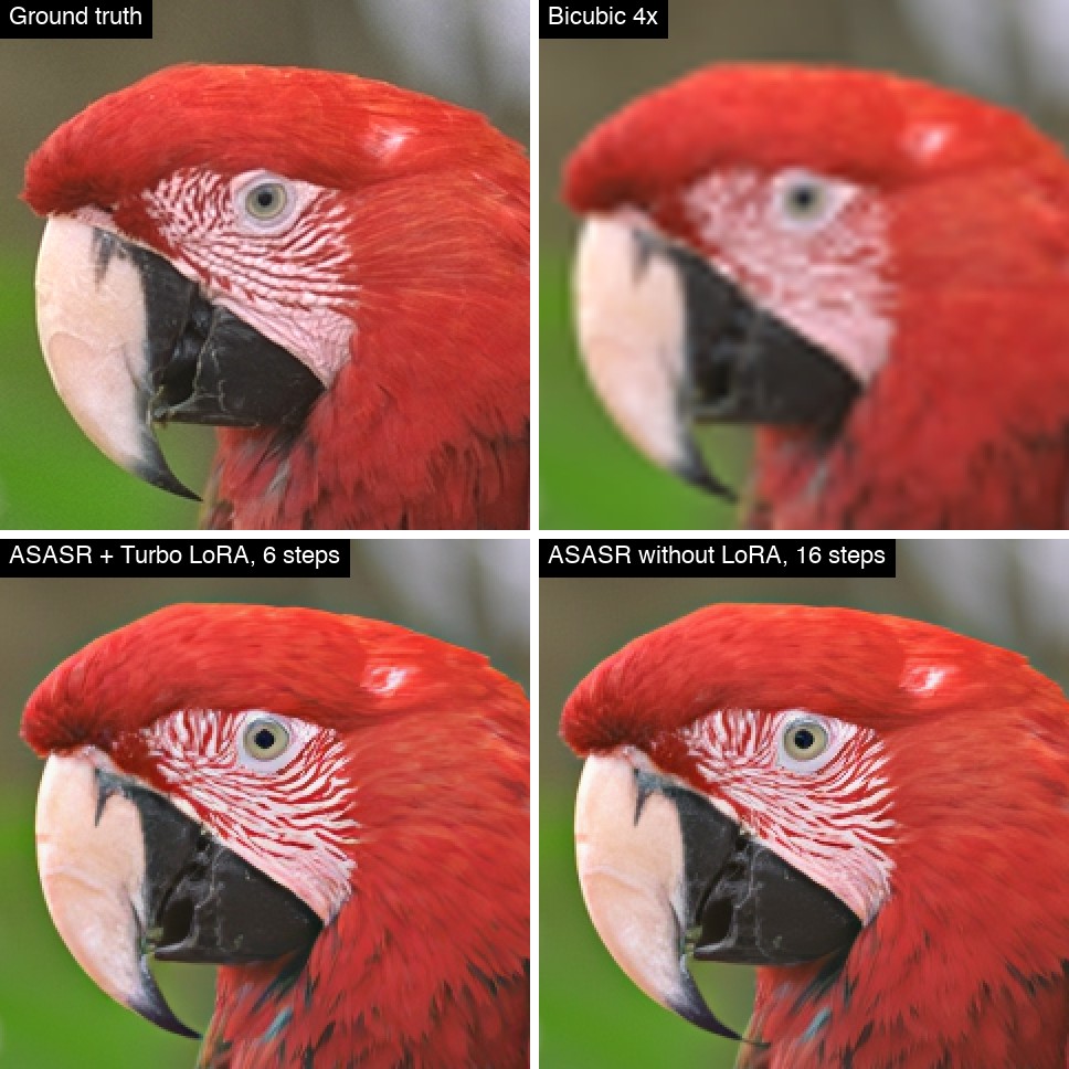Parrot: ground truth, bicubic, ASASR with Turbo LoRA (6 steps), ASASR without LoRA (16 steps)