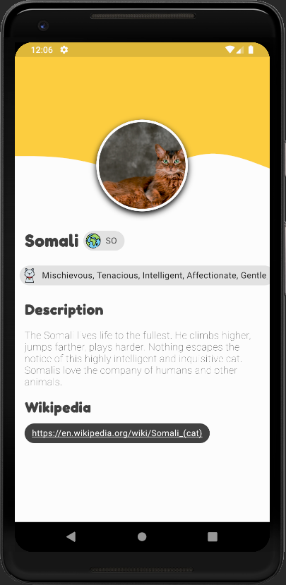 GitHub - clauub/CatApp: A simple app with cat breeds using https ...