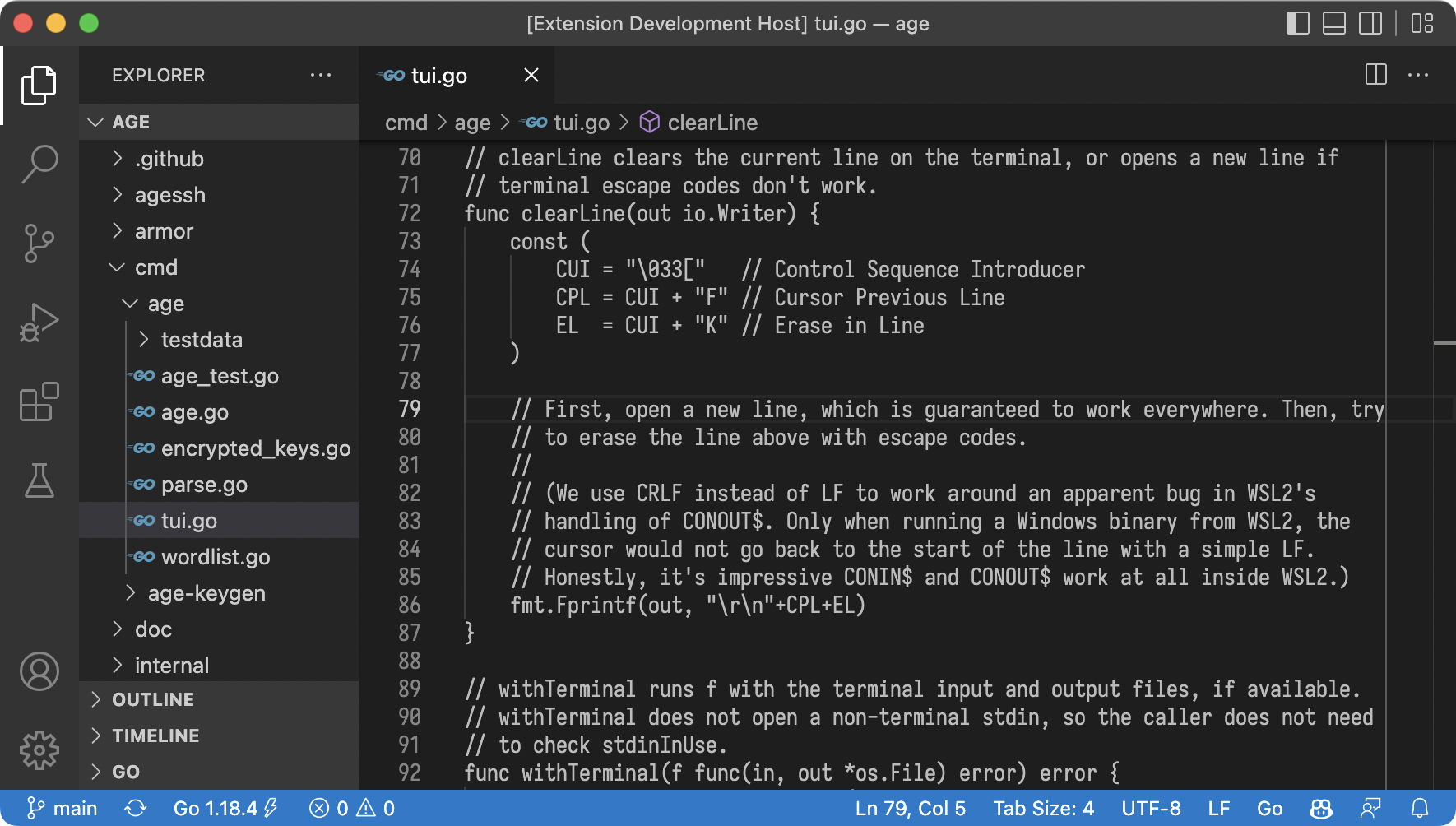 A VS Code window using the Frank Dark theme to show Go code.