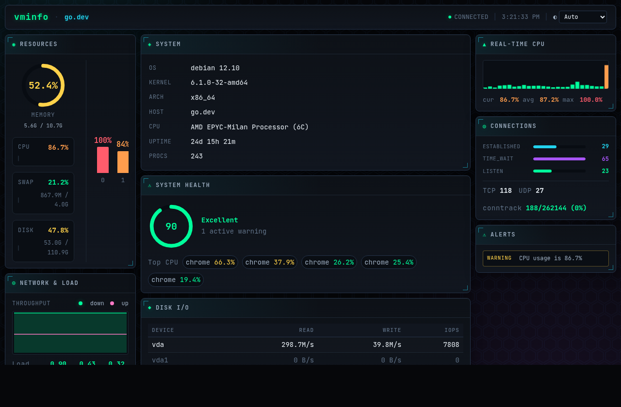 vminfo browser system monitoring dashboard