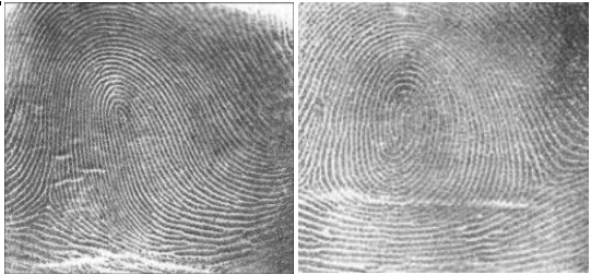 Example Project Nist Fingerprint Matching