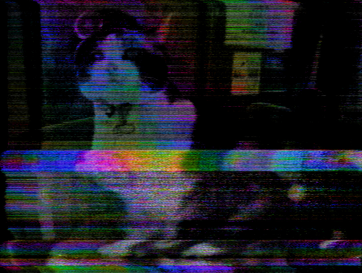 A photo dubbed to VHS: rainbow chroma noise banding across the frame, torn lines, and the picture bending through a tracking band