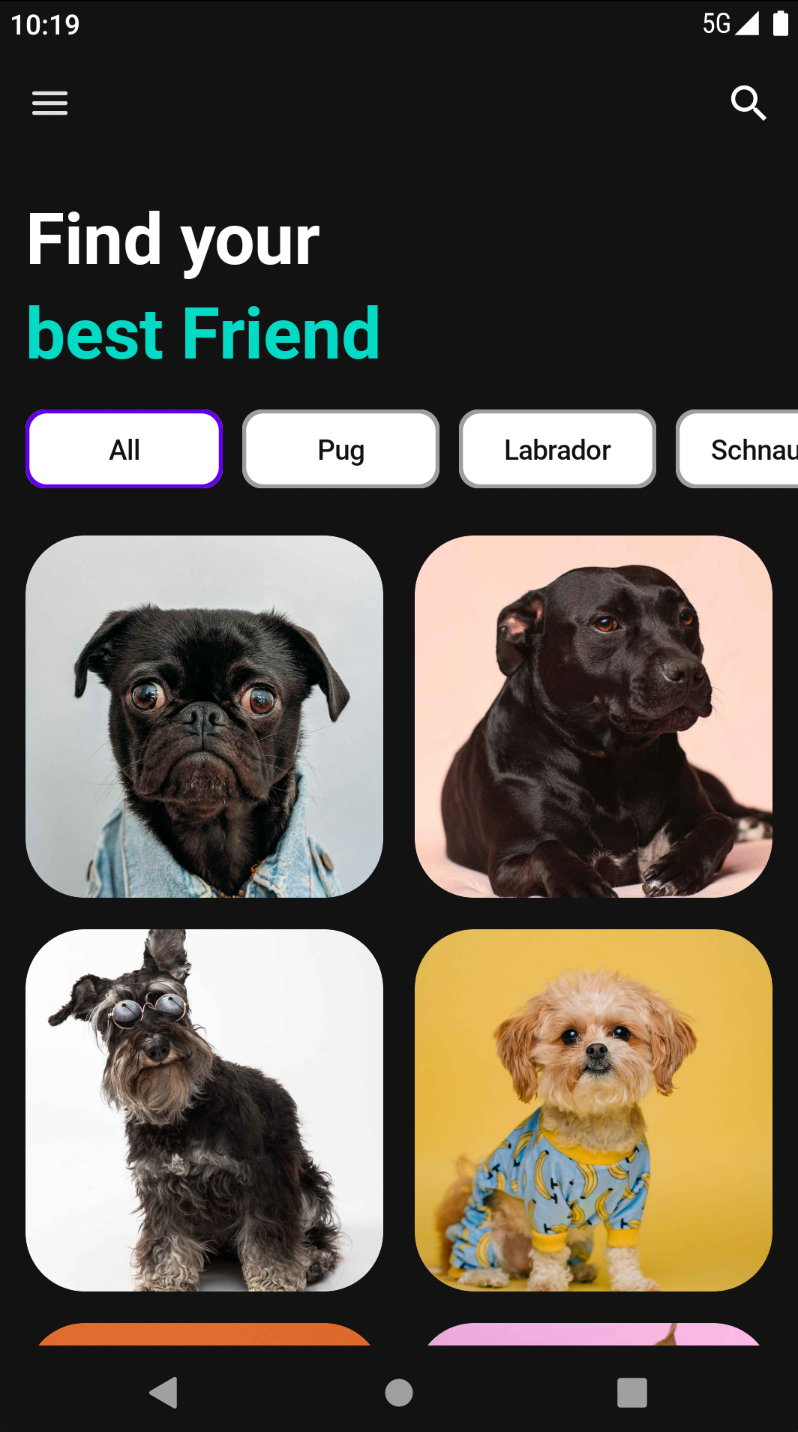 Doggify main screen: list of dogs