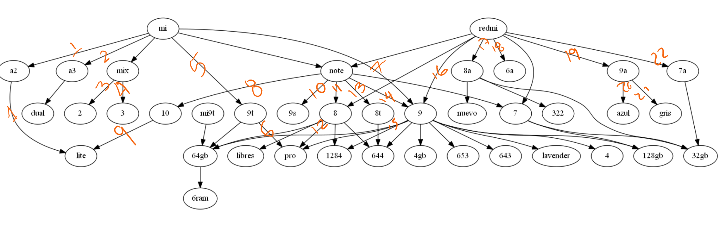 First Graph Analysis