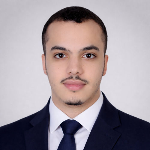 Picture of Anas Diab