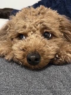 Picture of Yasuhiro Matsugi