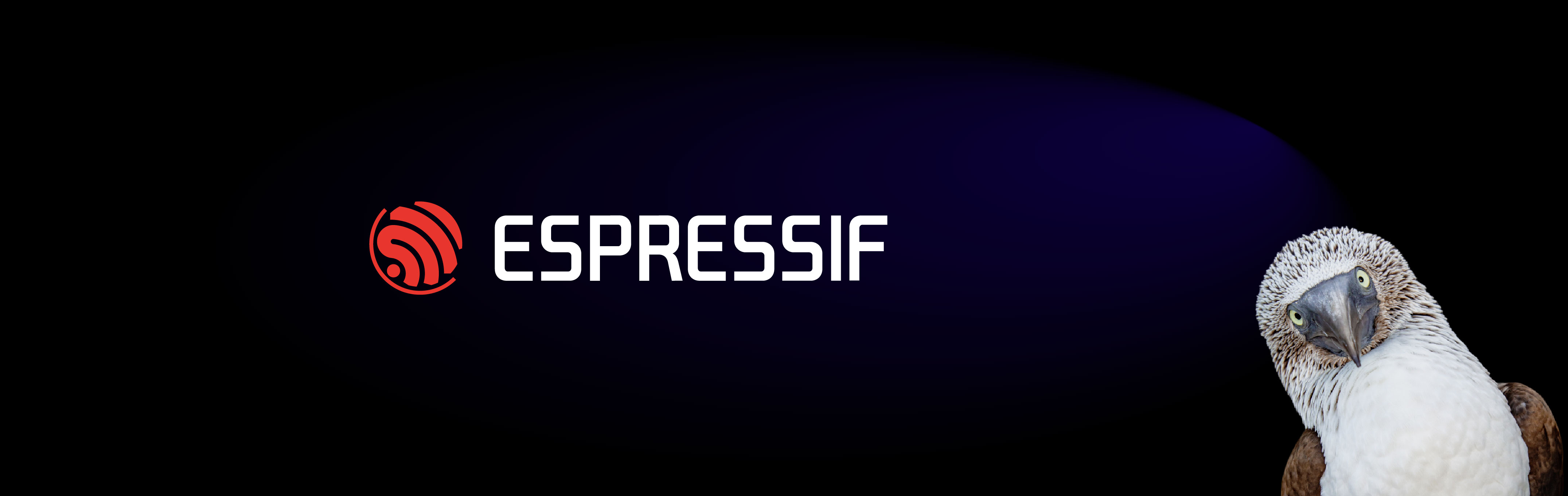 ESPRESSIF