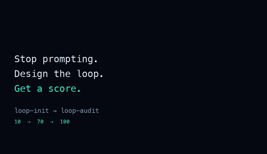 assets/visuals/loop-audit-demo.gif