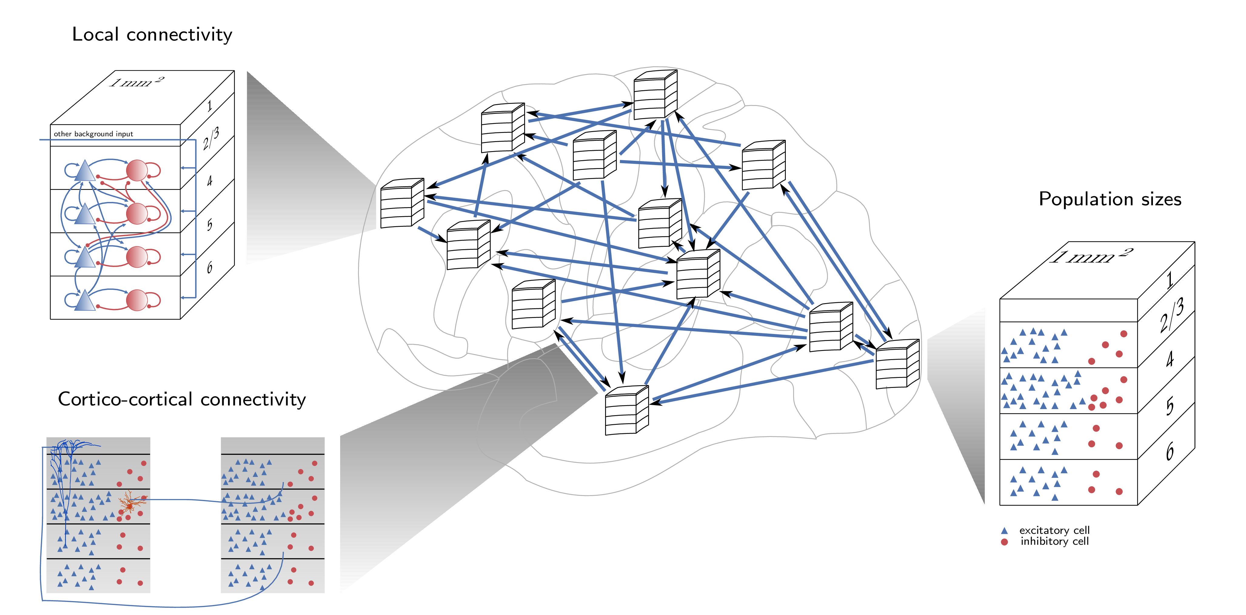 Model overview