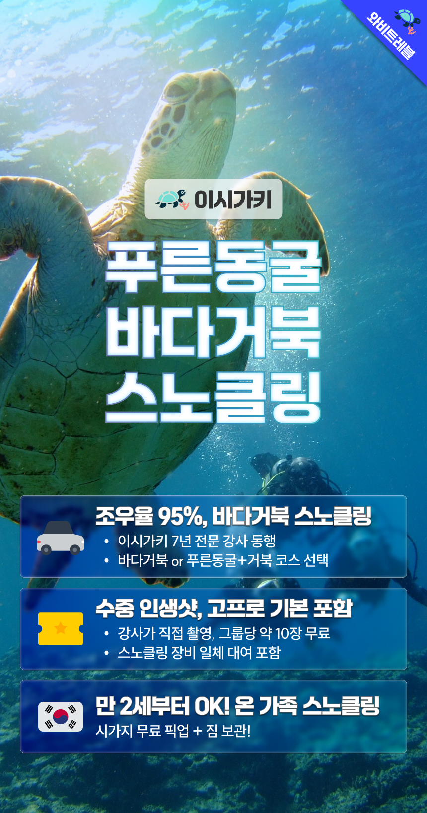 ishigaki-blue-cave-turtle-02