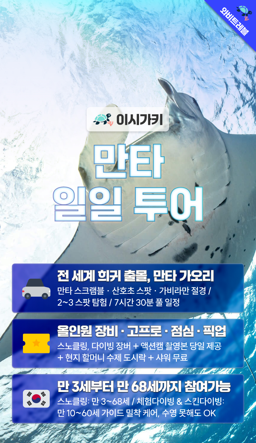manta-day-02