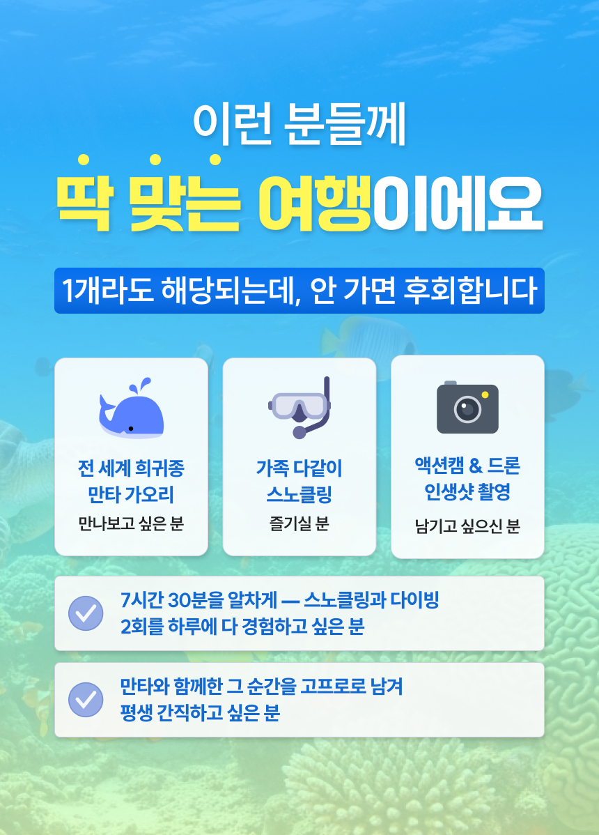 manta-day-04