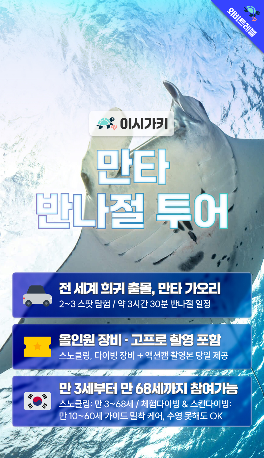 오키나와 이시가키 만타 반나절 투어 스노쿨링 스노클링 체험 다이빙