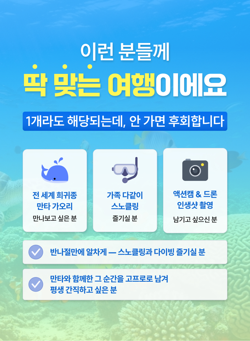 오키나와 이시가키 만타 반나절 투어 스노쿨링 스노클링 체험 다이빙