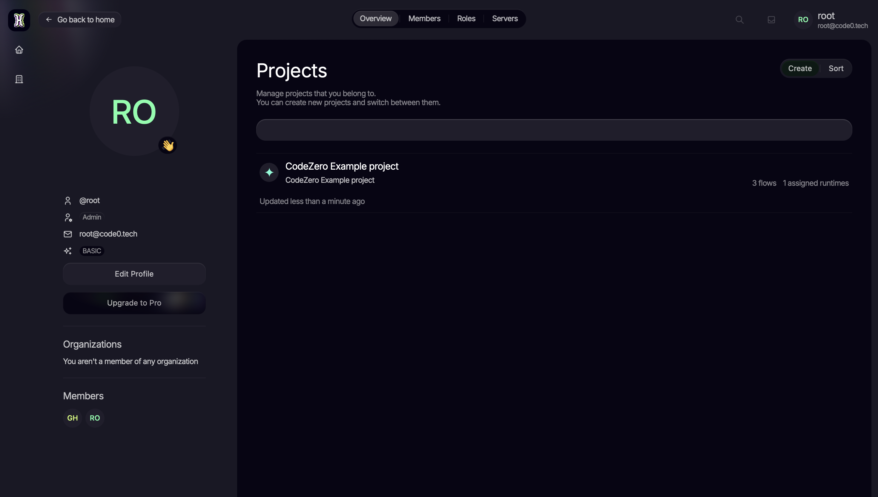 Workspace with projects and members