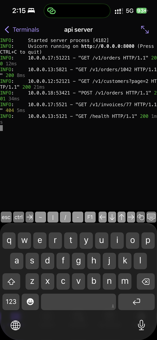iPhone: a terminal with the Esc, Ctrl, Tab and arrow key bar