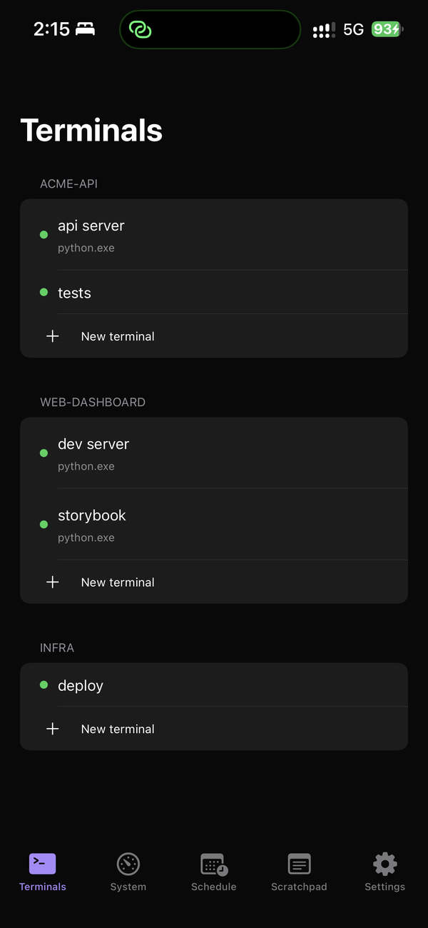 iPhone: terminals grouped by project