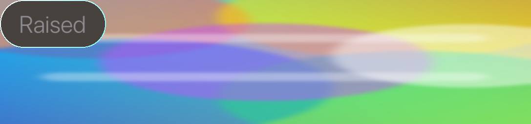 cn1 RaisedButton_disabled_dark