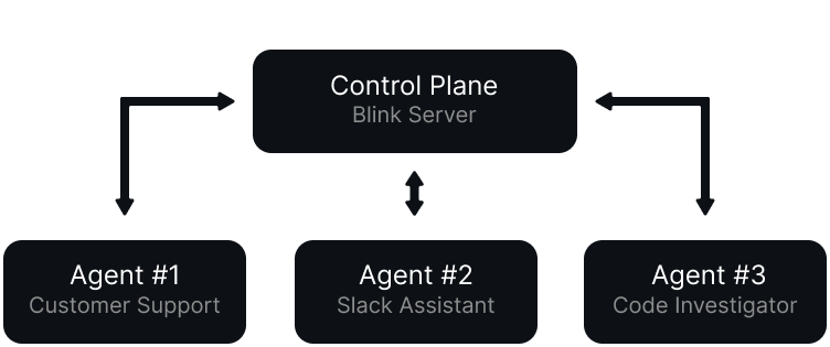 Blink Diagram
