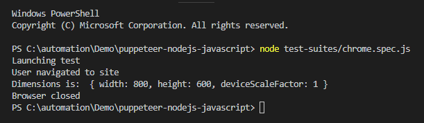 Puppeteer, NodeJS and Javascript Test Results