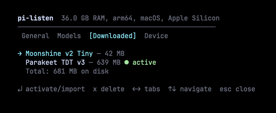 Downloaded tab — manage installed models, activate or delete