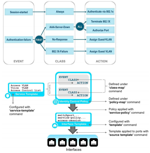 Infographic