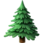 evergreen_tree