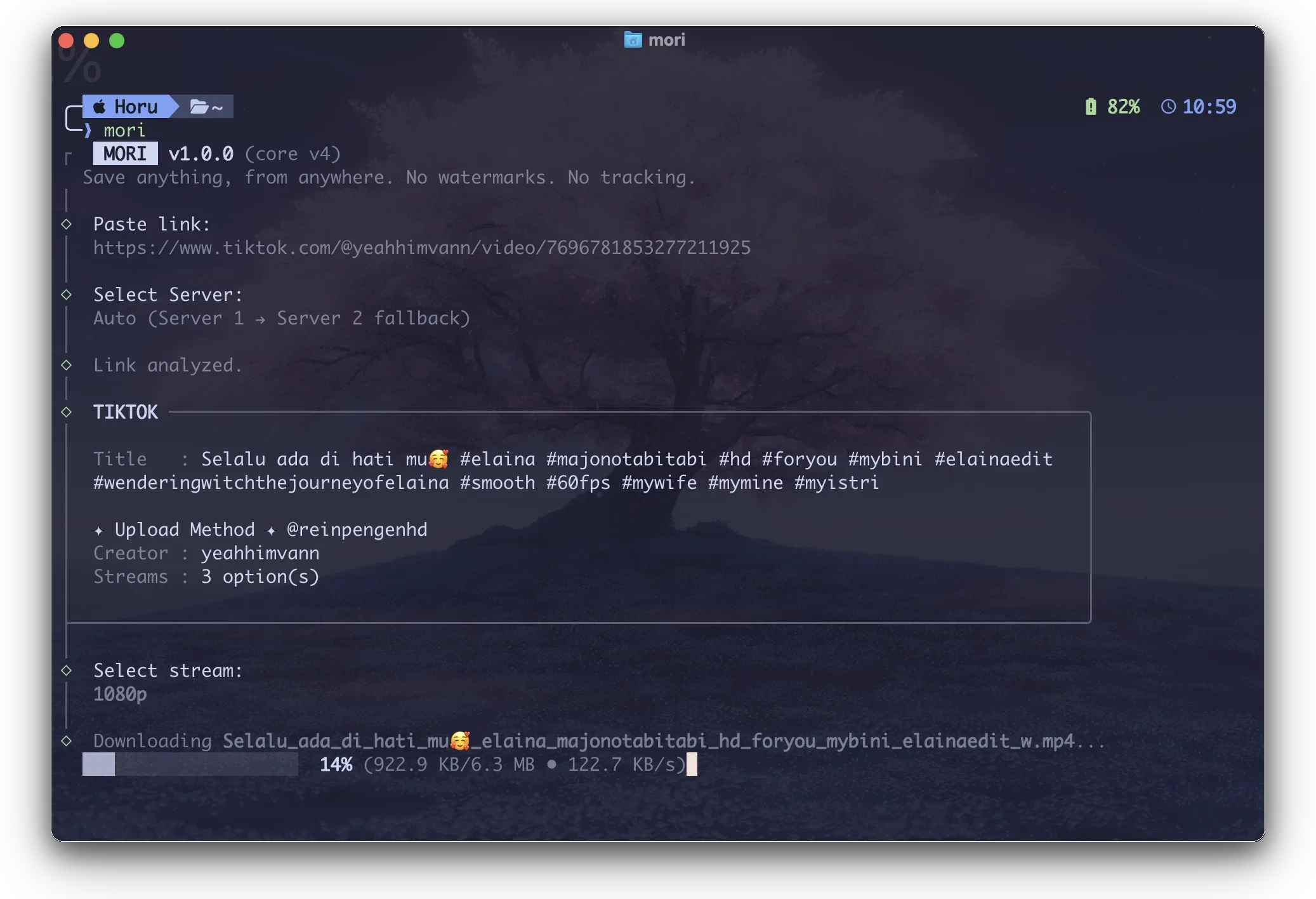 Mori CLI Preview