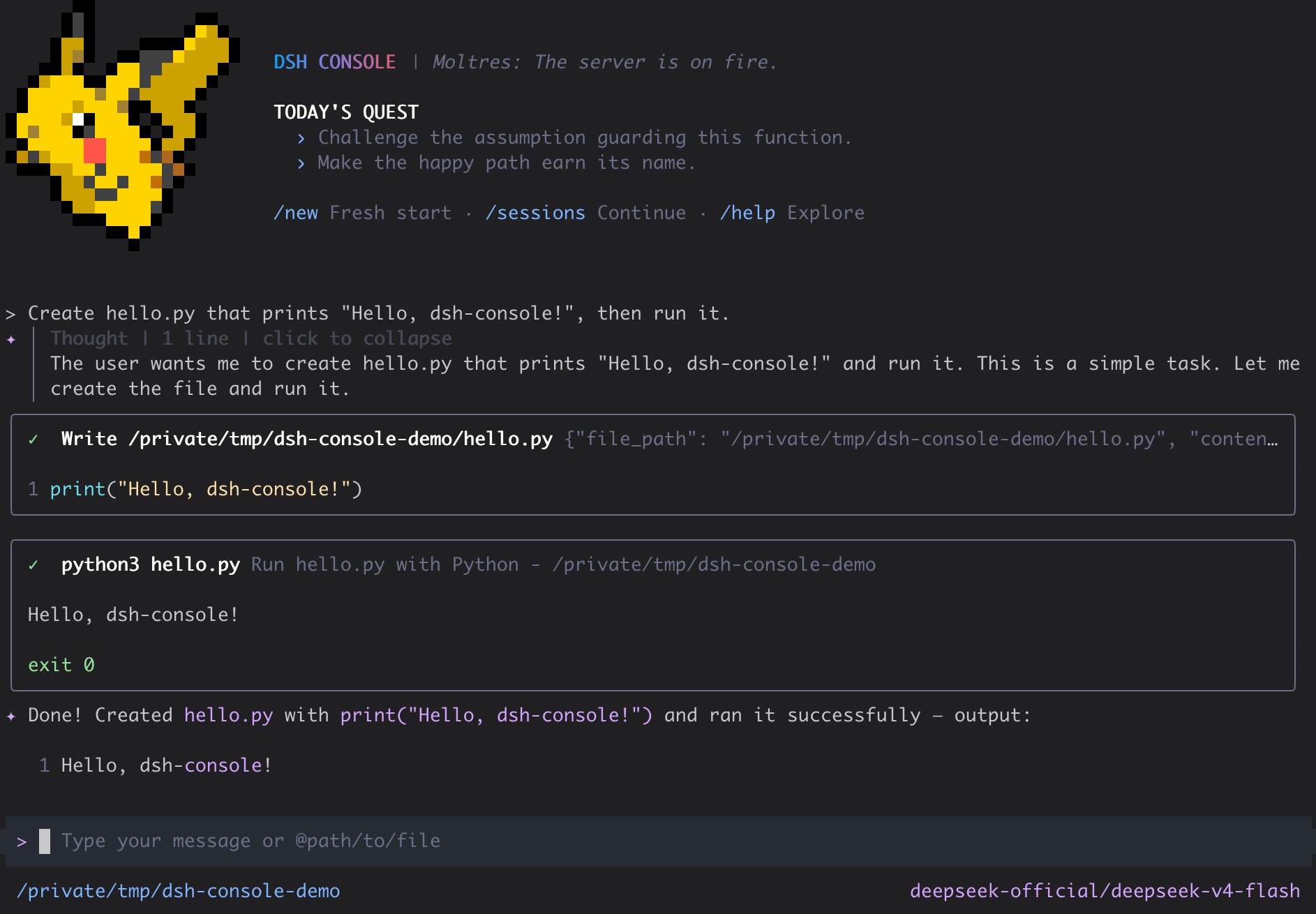 DSH Console creating and running a Python program