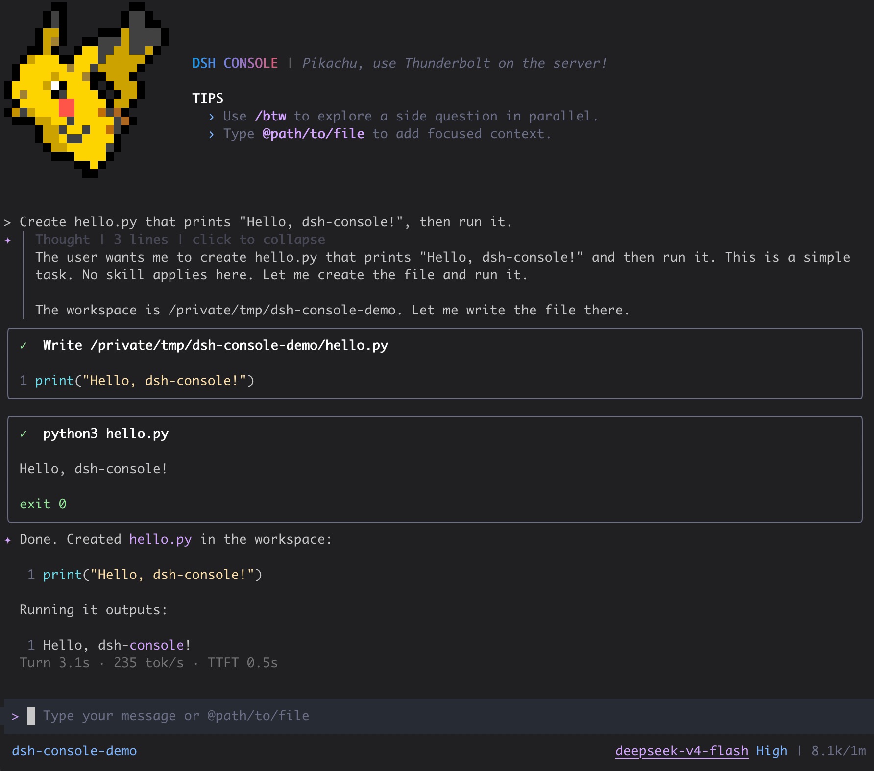 DSH Console creating and running a Python program