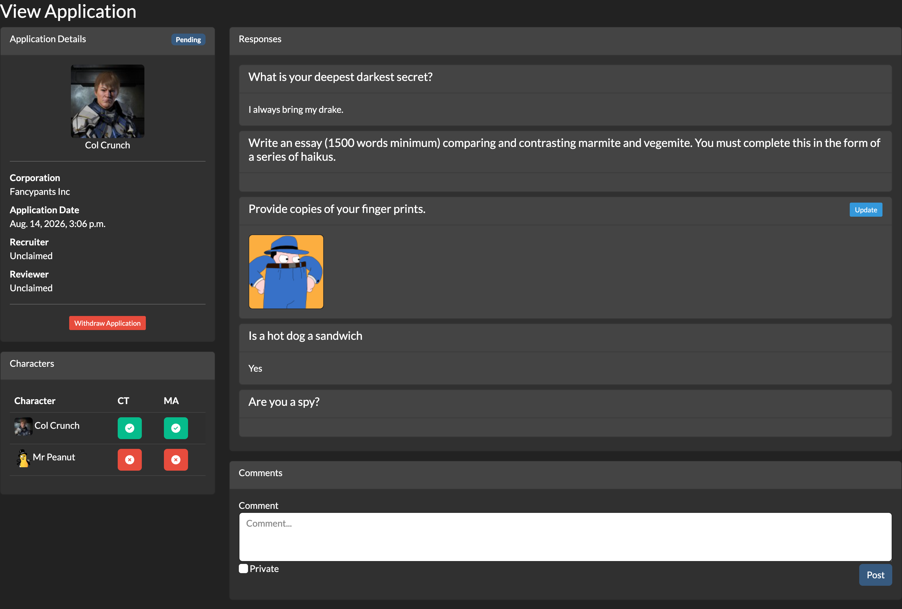 Main Application View