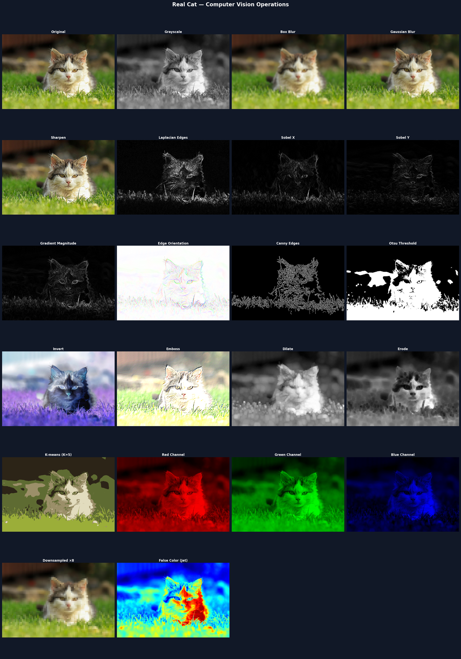 LLM Computer Vision Skill