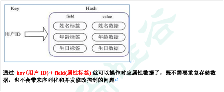 截屏2022-06-24 22.53.02