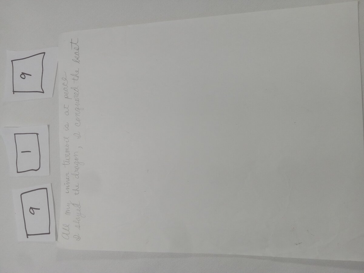 Item 919