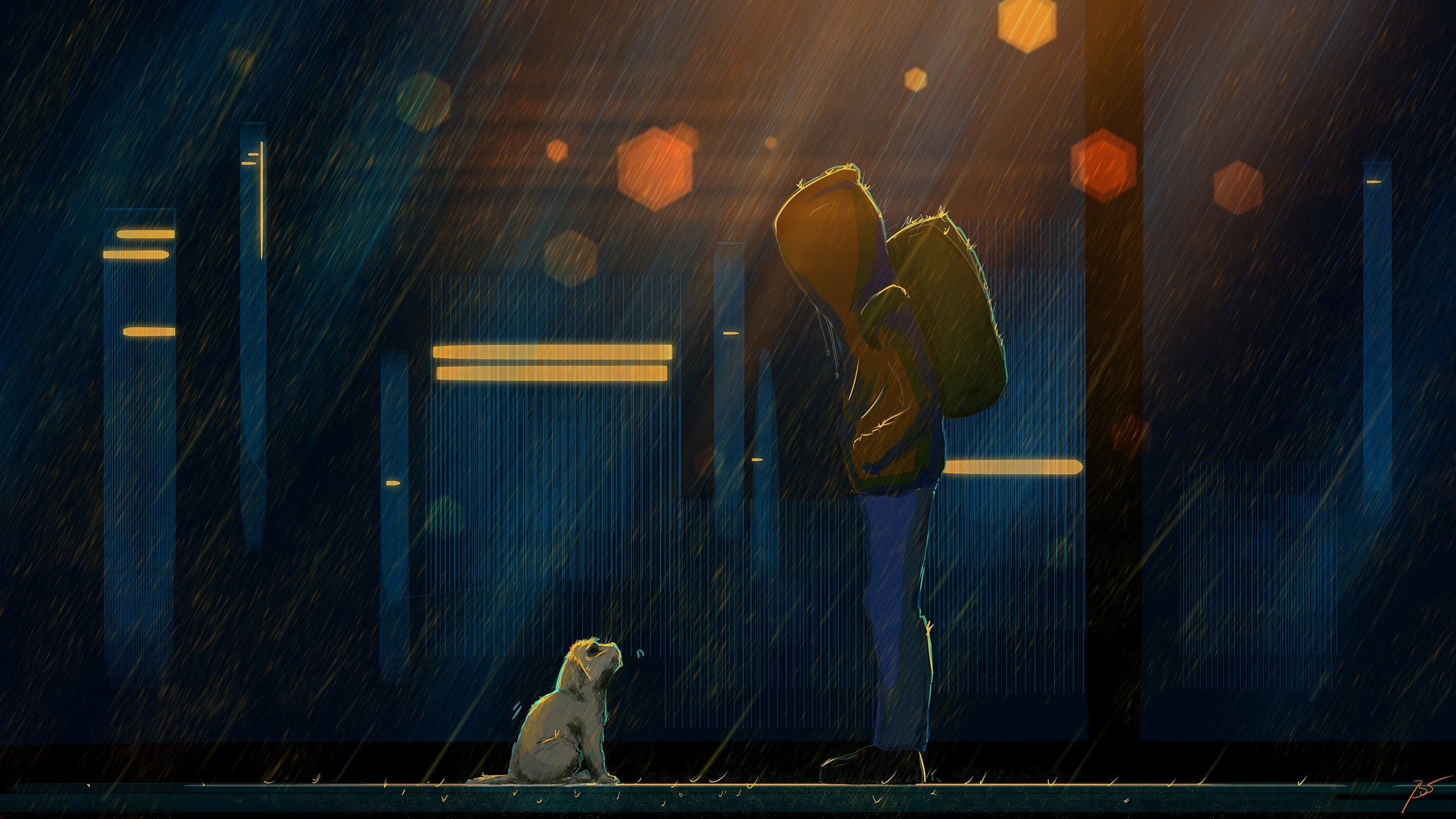 rain-street-dog.jpeg