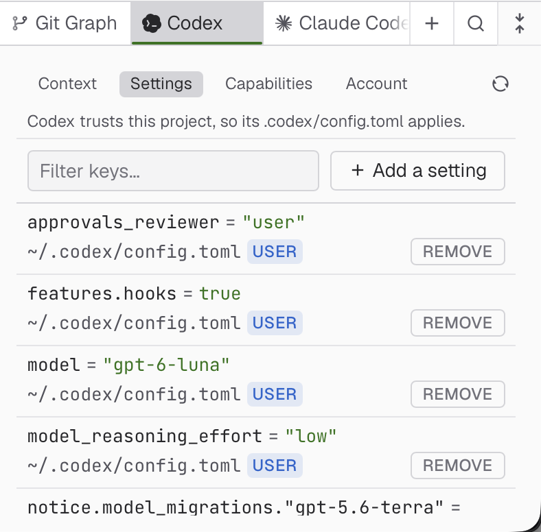 Codex settings pane