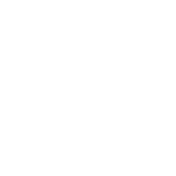 Quarkus icon file white