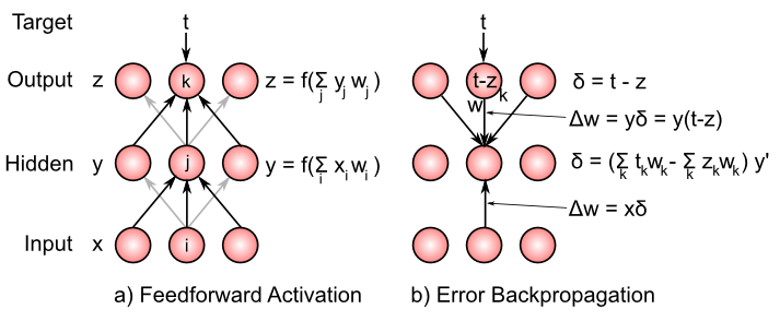 Illustration of backpropgation computation in three-layer network. First, the feedforward activation pass generates a pattern of activations across the units in the network, cascading from input, to hidden to output. Then, "delta" values are propagated *backward* in the reverse direction across the same weights. The delta sum is broken out in the hidden layer to facilitate comparison with the GeneRec algorithm as shown in the next figure.