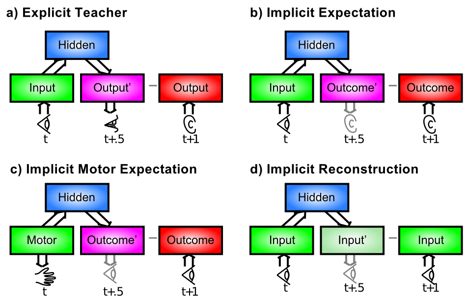 Different situations that give rise to a contrast between expectations and outcomes. a) The simplest case of explicit teacher / parent input --- a visual input (e.g., an object) at time t drives a verbal output (e.g., the name of the object), and the teacher then corrects (or confirms) the output. b) The same scenario can go through without actually producing a verbal output --- instead just an expectation of what someone else might say, and this can be compared with what is actually said to derive useful error signals. c) Is a specific instance of when many expectations are likely to be generated, when a motor action (e.g., pushing food off of a high chair) drives an expectation about the visual outcomes associated with the action, which then occur (to the seemingly endless delight of the mischievous infant). d) Involves making an "expectation" about what you actually just saw --- reconstructing or generating the input (otherwise known as generative model or an auto-encoder) --- the input itself serves as its own training signal in this case.