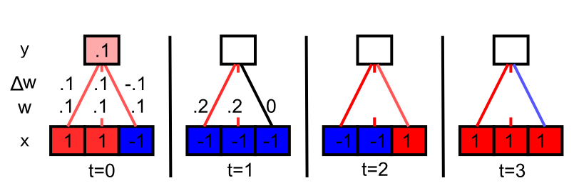 Simple Hebbian learning demonstration across 4 time steps (t=0 thru 3). Bottom row of network has 3 input units, the last of which fires in an ''uncorrelated'' fashion with the other two. They all start out with weights w = .1. Receiving activity is just a linear sum of the sending activations times weights: $y = \sum x w = .1$ for the first time step. Learning is simple Hebbian: $\Delta w = xy$. As you fill in the remainder of the activations, weights, and weight changes, you will find that the two correlated input units dominate the receiving unit activation, and thus they end up being correlated in their activity, causing their weights to always increase. The third unit sometimes goes up and sometimes down, with no net increase over time. Thus, Hebbian learning discovers correlations in the inputs.