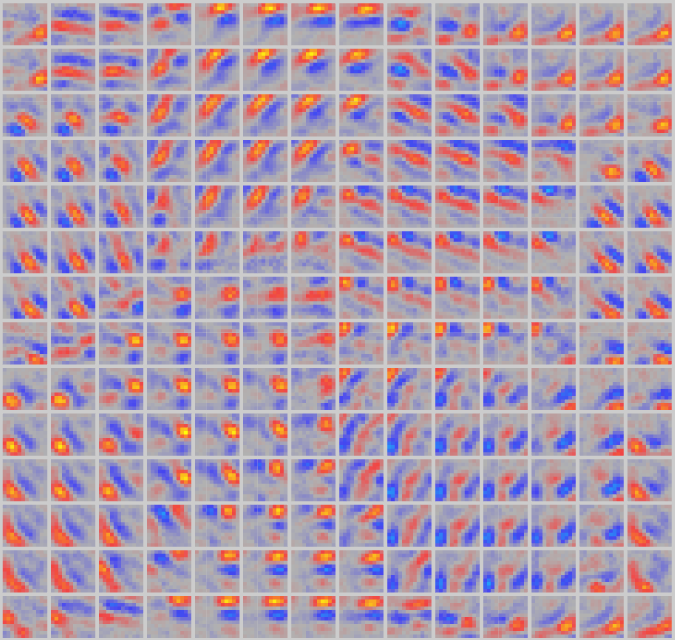 自然画像 (山、木など) の小さなウィンドウにさらされた V1 ニューロンのシミュレーションにおける、指向性エッジ検出器の地形的構成。ニューロンの近傍接続により、地形的組織が発達します。