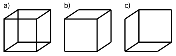 The Necker Cube ネッカーキューブ