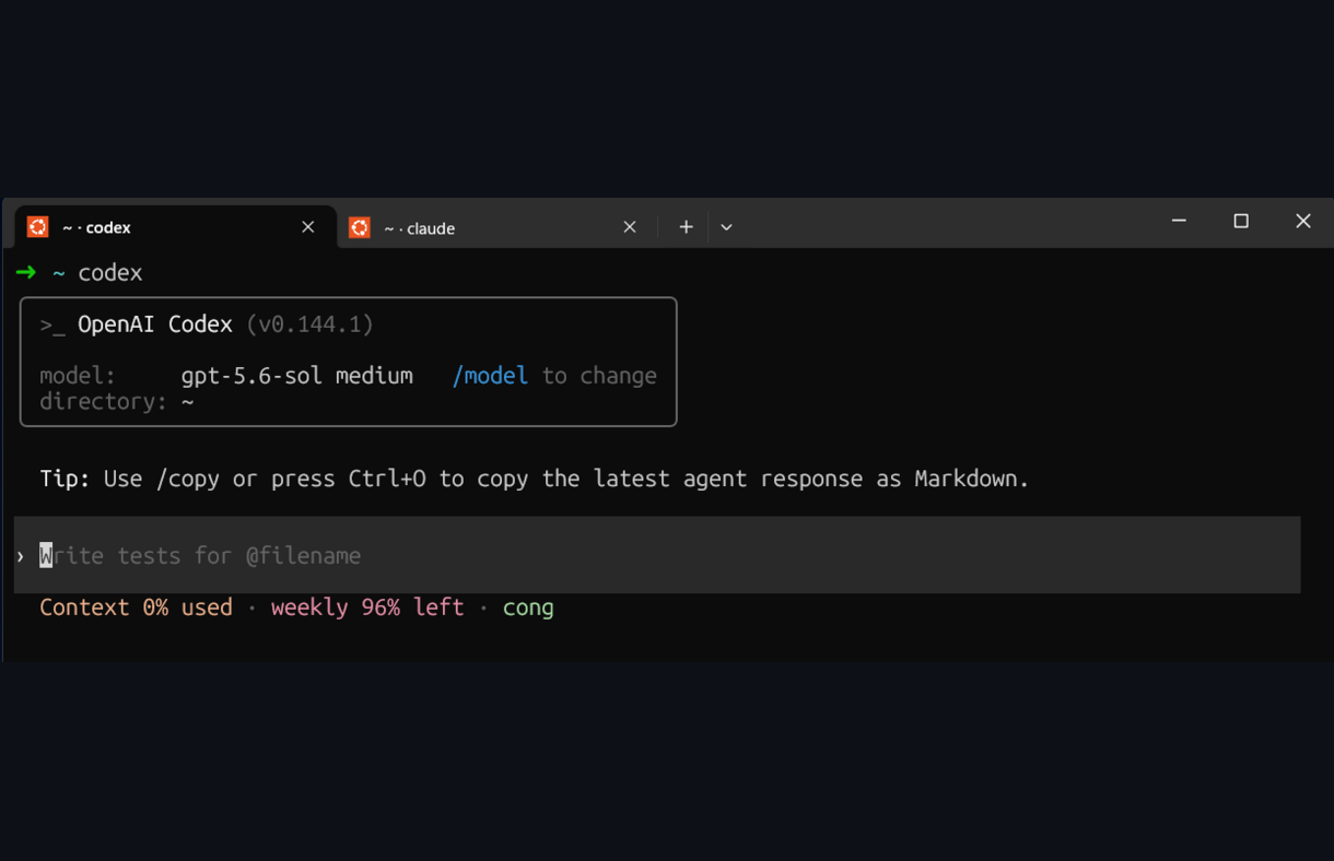 Windows Terminal tabs labelled by directory and active coding agent