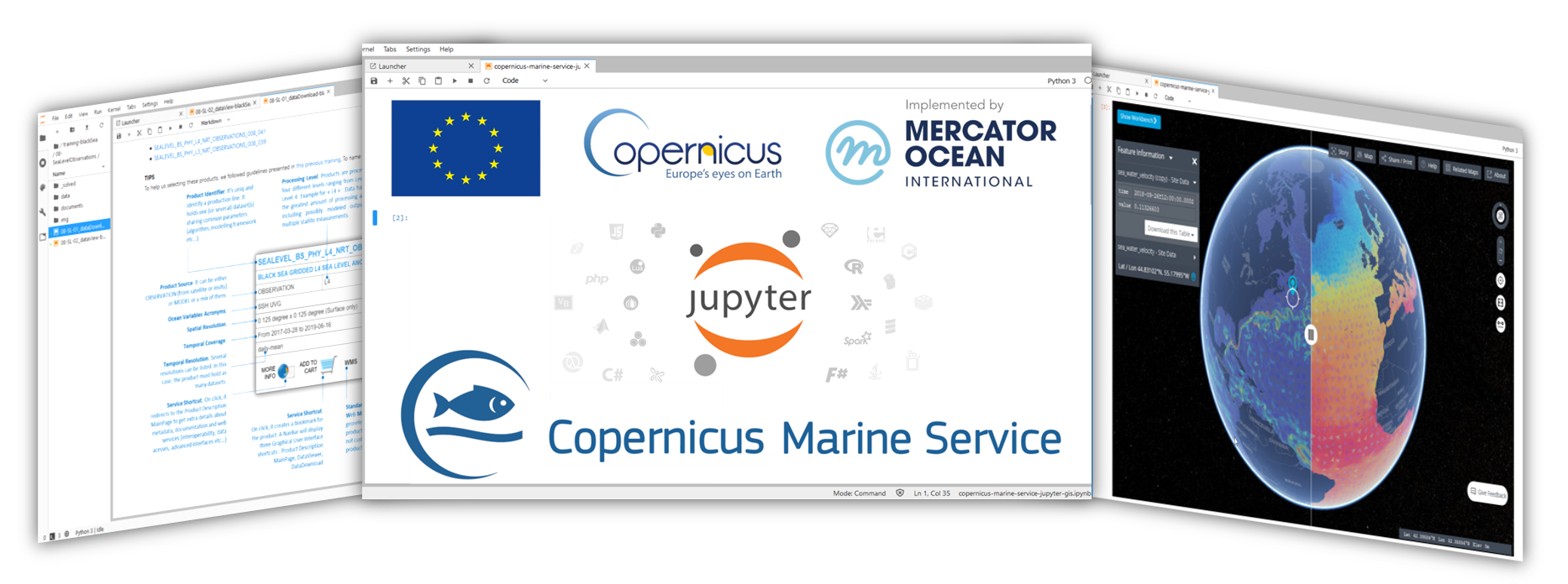 CopernicusMarine screenshot