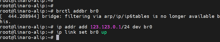 image-20240302231157181