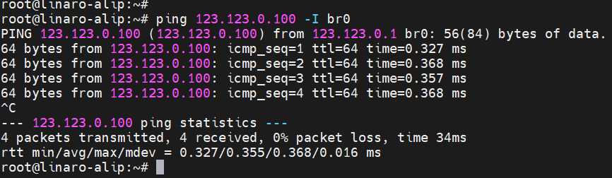 image-20240302231555725