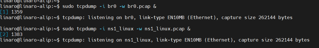 image-20240302232349066